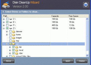 Disk CleanUp Wizard screenshot