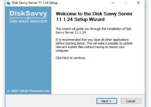 Full Disk Savvy Server screenshot