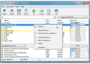 software - Disk Savvy 16.1.28 screenshot