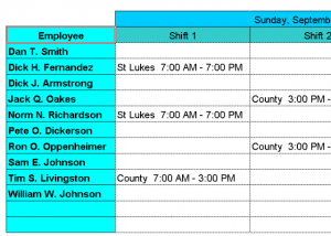 Dispatch Nurses to Hospitals with Excel screenshot