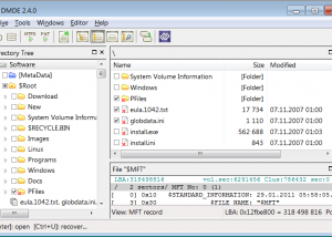 software - DMDE - DM Disk Editor and Data Recovery 3.4.3.739 screenshot