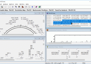software - DNAssist 3.11 screenshot