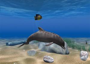 Dolphin Aqua Life 3D Screensaver screenshot
