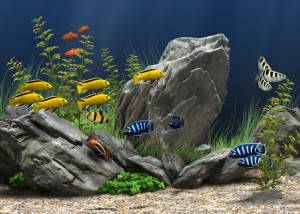 software - Dream Aquarium 1.25 screenshot