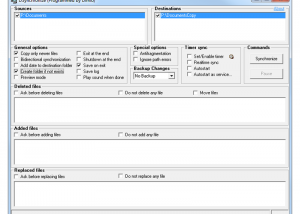 software - DSynchronize Portable 2.48.28 screenshot