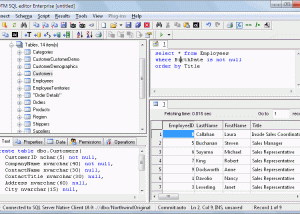 DTM SQL editor screenshot