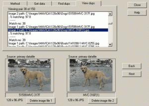 software - Dup Detector 3.0 screenshot