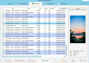 software - DupInOut Duplicate Finder 1.1.3.2 screenshot