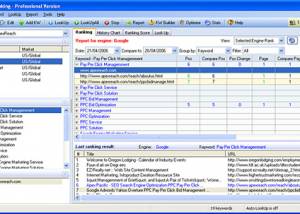 software - Dynamic Web Ranking 5.0 screenshot