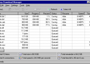 Easy Download Manager screenshot