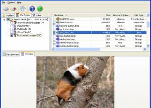 software - Easy NTFS Data Recovery 3.0 screenshot