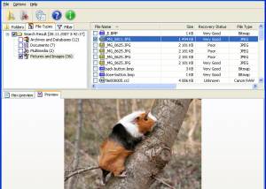 Easy NTFS File Undelete screenshot