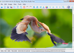 software - Easy Photo Studio FREE for Windows 4.0.1 screenshot