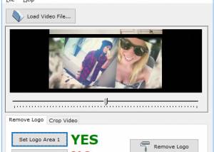 software - Easy Video Logo Remover 1.3.8 screenshot