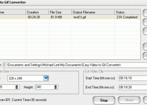 Easy Video to Gif Converter screenshot