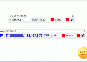 EasyVoiceIP screenshot