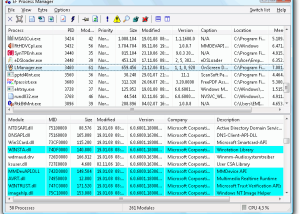software - EF Process Manager 24.03 screenshot