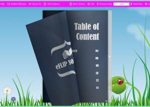 software - eFlip Flipbook Software 1.0 screenshot
