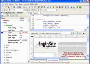 EngInSite CSS Editor screenshot