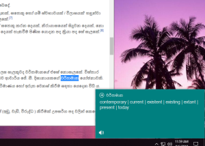 software - English Sinhala Popup Dictionary 1.0.2 screenshot