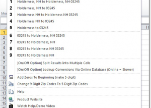 Excel Zip Codes Convert, Lookup & Format Software screenshot