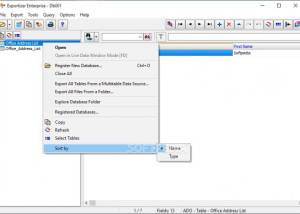 software - Exportizer Enterprise 9.3.4.210 screenshot