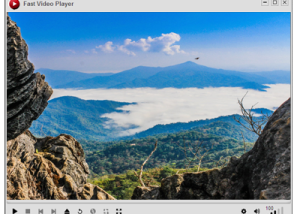 software - Fast Video Player 1.0.0.0 screenshot