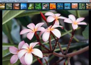 software - FastPictureViewer x64 1.95.400.0 screenshot