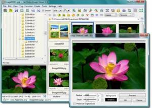 software - Faststone Image Viewer 7.8 screenshot