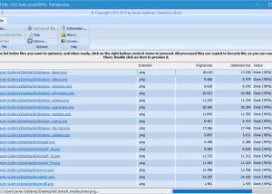 software - File Optimizer 16.50.2809 screenshot