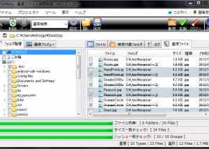 Full FileMany screenshot