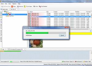 FileRescue Professional screenshot