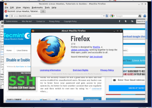 software - Firefox 17 17.0.1 screenshot