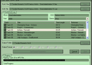 Flac Ripper screenshot