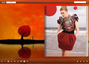 software - Flash Book Templates for Red Style 1.0 screenshot