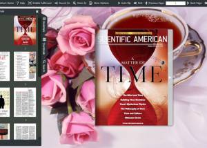 Flash Catalog Templates of Tea Style screenshot