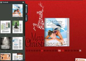 Flash flip book template of Christmas screenshot