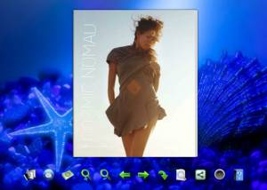 Flash flip book theme of Cold Blue Style screenshot