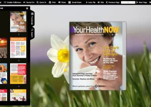Flash flip book theme of SpringBlossom 2 screenshot