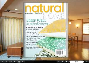 Flash Magazine Themes for Home Furnishing Style screenshot