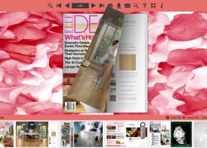 Flash Magazine Themes for Petal Style screenshot