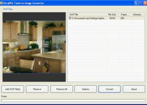 software - Flash to Image Converter 2.0 screenshot