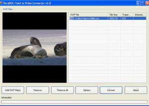 software - Flash to Video Converter v2.0 screenshot