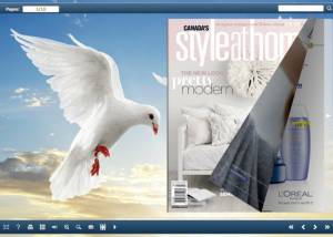 FlashBook Templates in Flying Bird Style screenshot