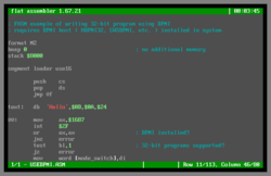 software - Flat Assembler 1.73.32 screenshot