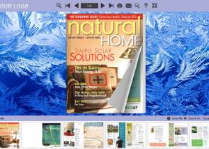 Flip Books Themes about Ice screenshot