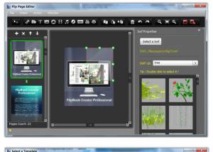 software - FlipBook Creator Professional 1.9 screenshot