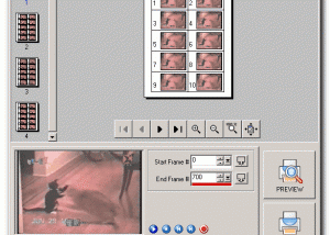 software - Flipbook Printer 1.10.01 screenshot