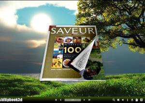 software - Flipping Book 3D Themes Pack:Flipped 1.1 screenshot