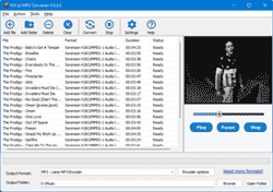 FLV to MP3 Converter screenshot